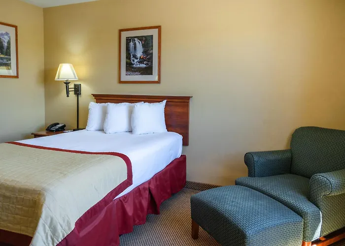 Hotel & 2*