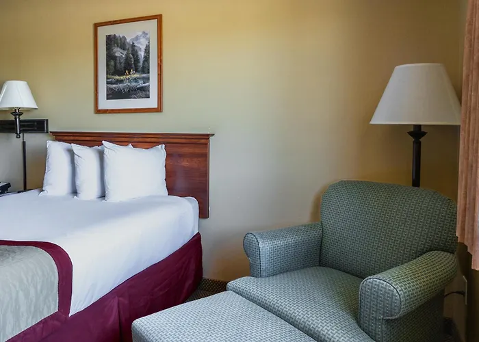Hotel &