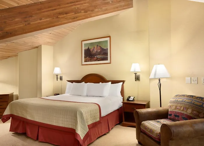 & Hotel